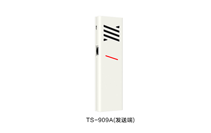 TS-909 高清無線拾音器組合